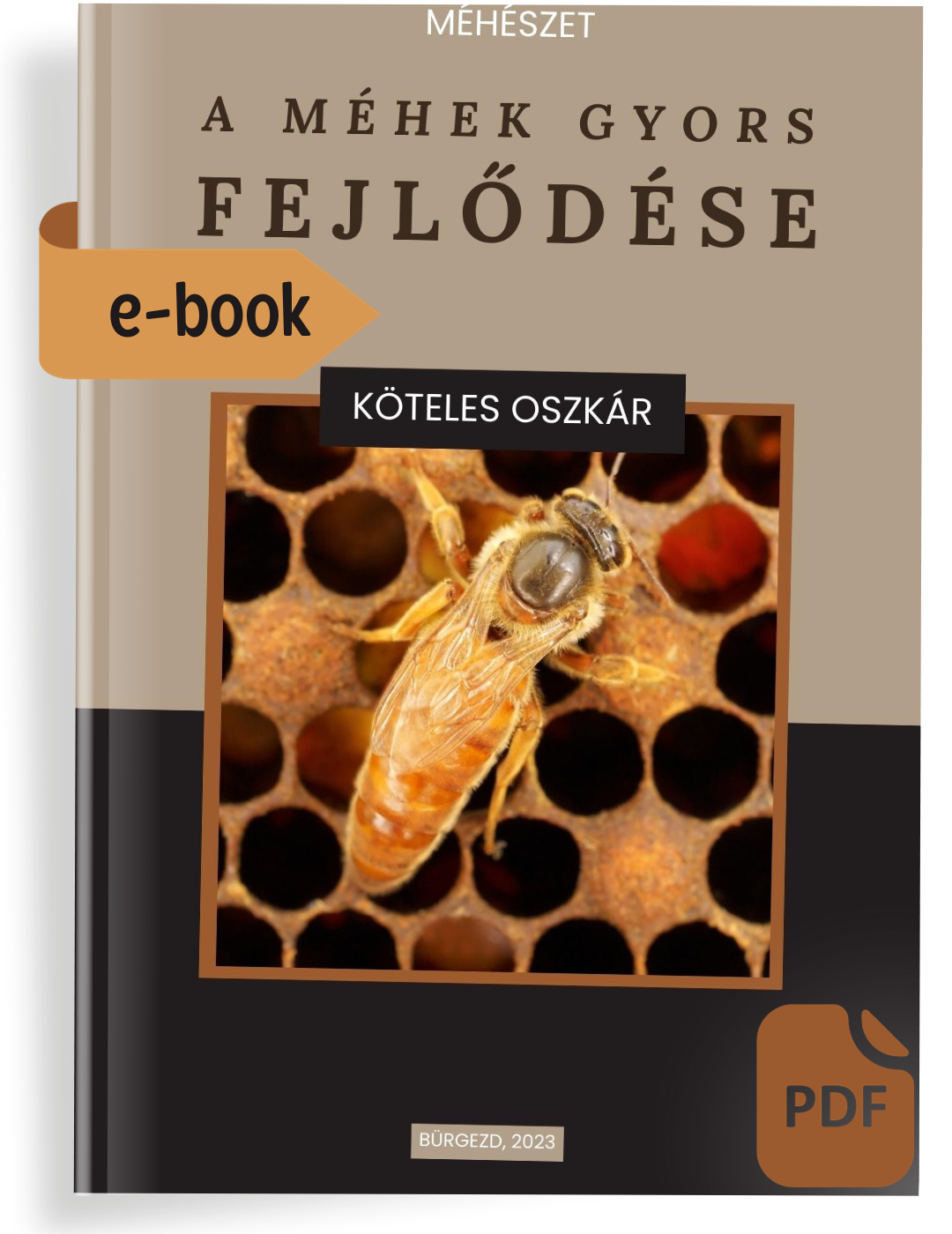 e-book A méhek gyors fejlődése